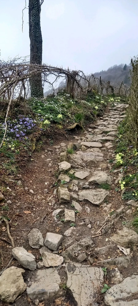 GIF caricata da Oscar