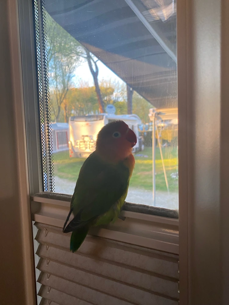 GIF caricata da Stefano