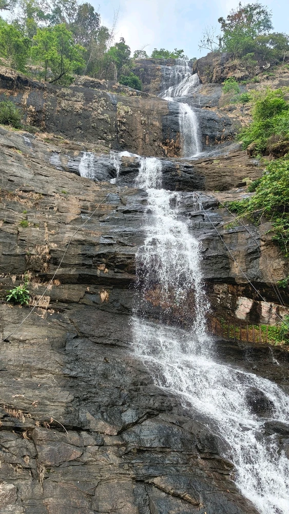 GIF uploaded by Jee
