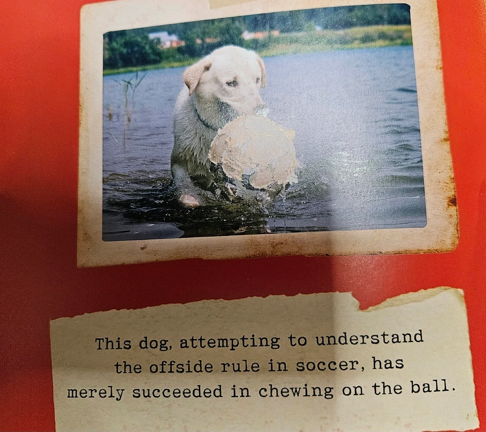 Image uploaded by Ariana