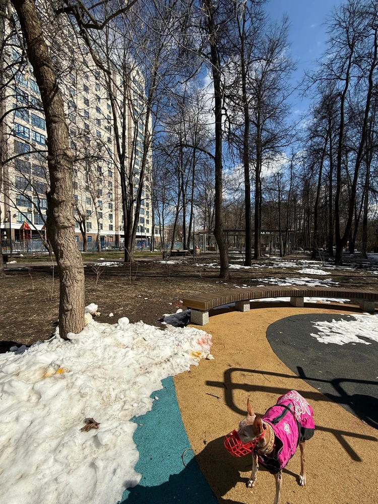 Image uploaded by Alena