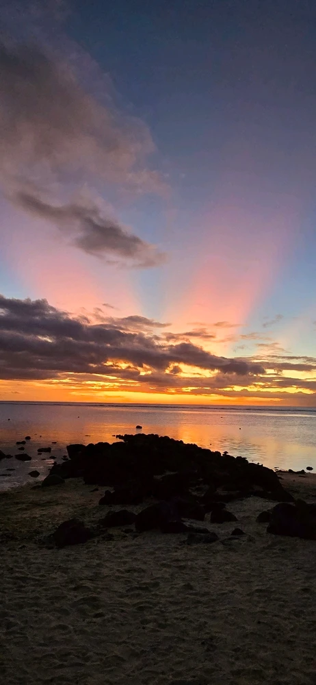 Image uploaded by Jonas230