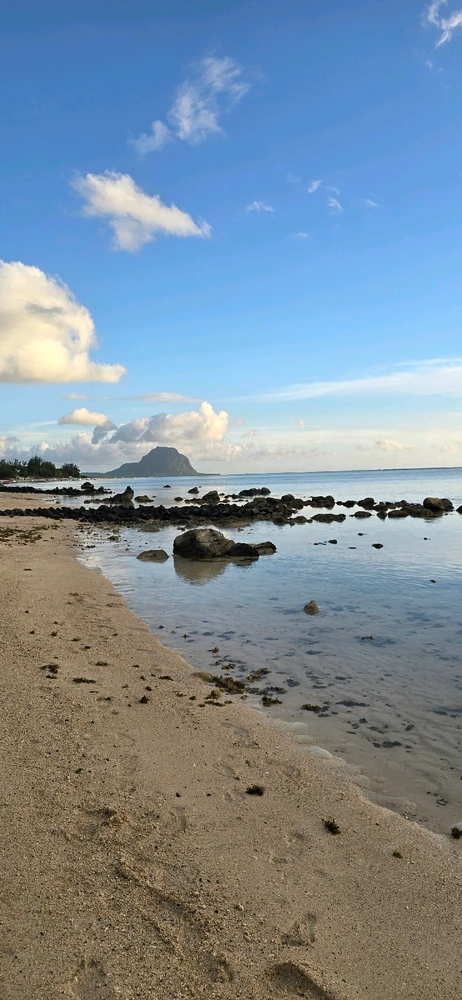 Image uploaded by Jonas230