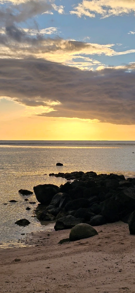 Image uploaded by Jonas230