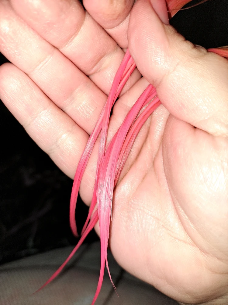 Image uploaded by ᚲᚱᛁᛊᛏᛗᚨ