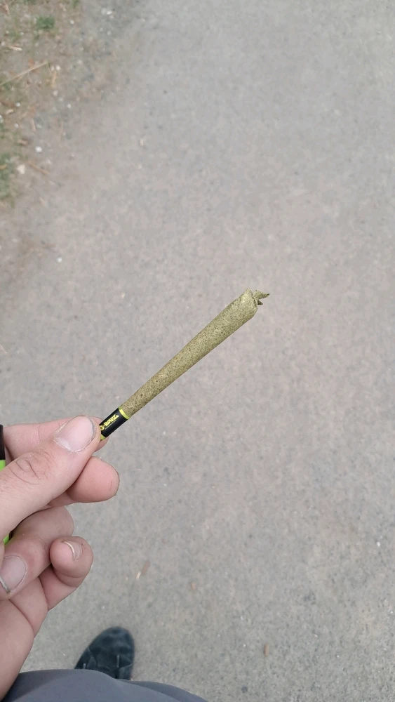 GIF hochgeladen von NoUsE4 AnAmE