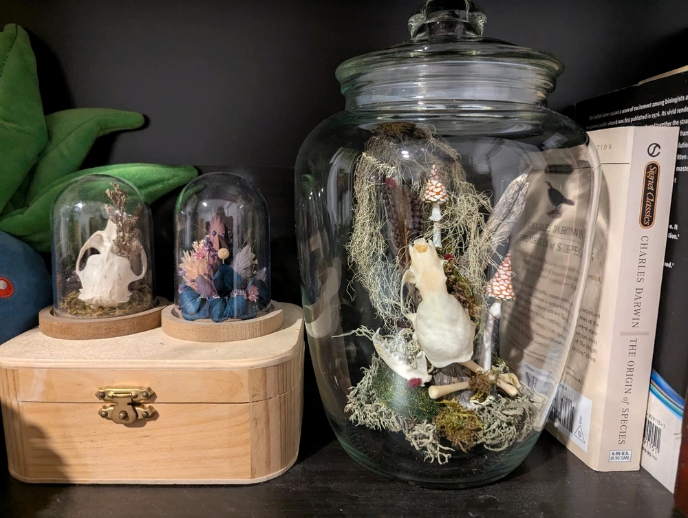 New jar of bones acquired!! 😍 It fits perfectly on that shelf!