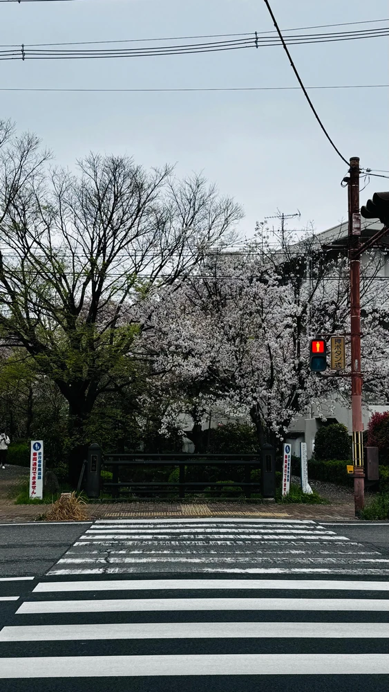 GIF uploaded by farah