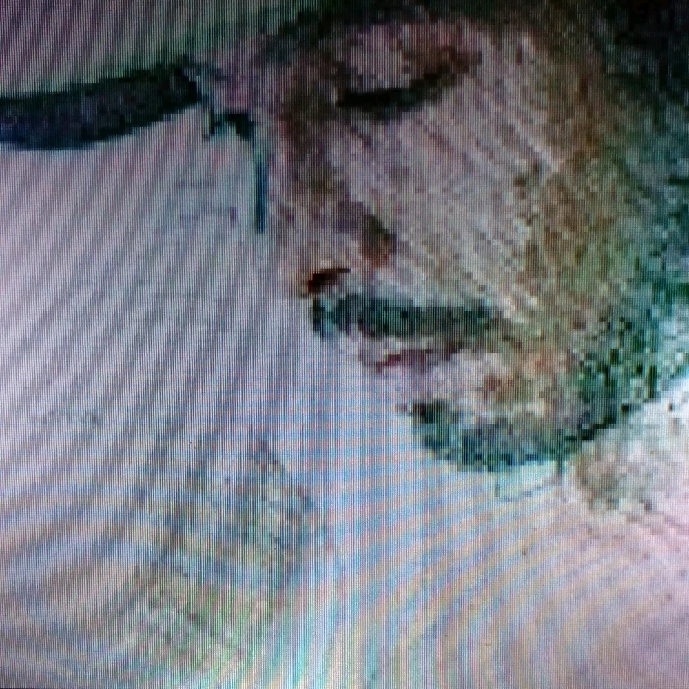 GIF enviado por Felipe