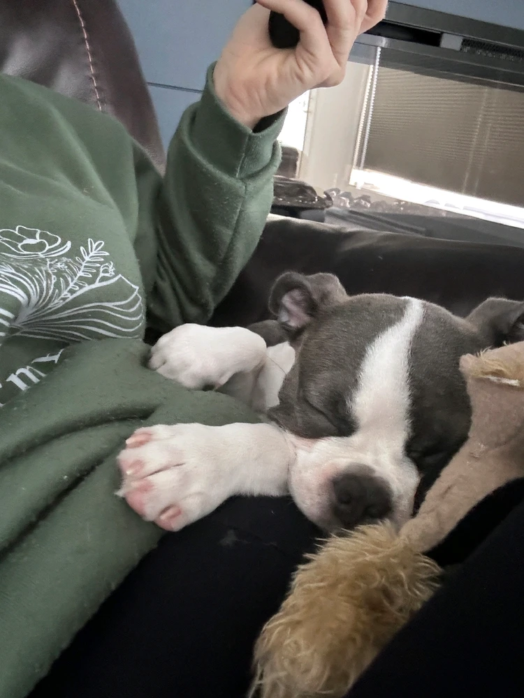 GIF uploaded by Rachel