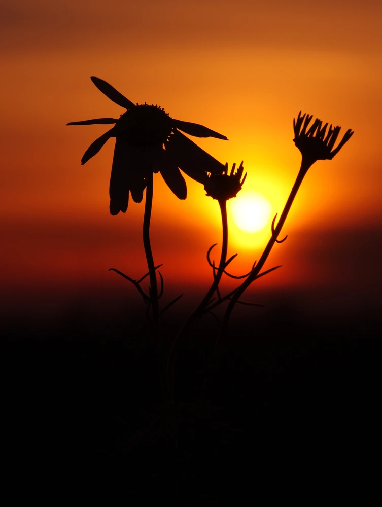 Fotku nahral/-a Dušan