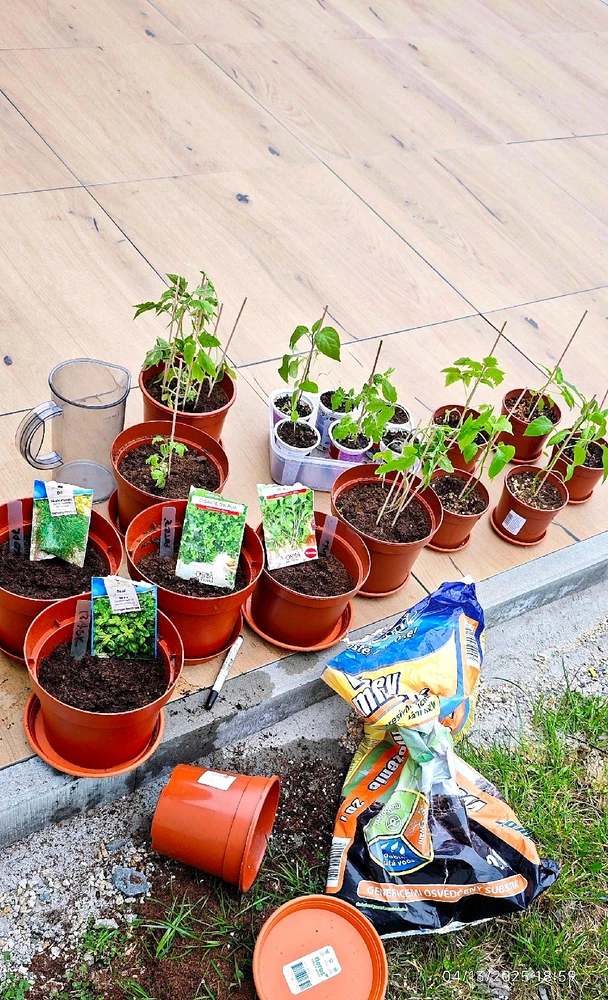 Obrázek nahrál Radek