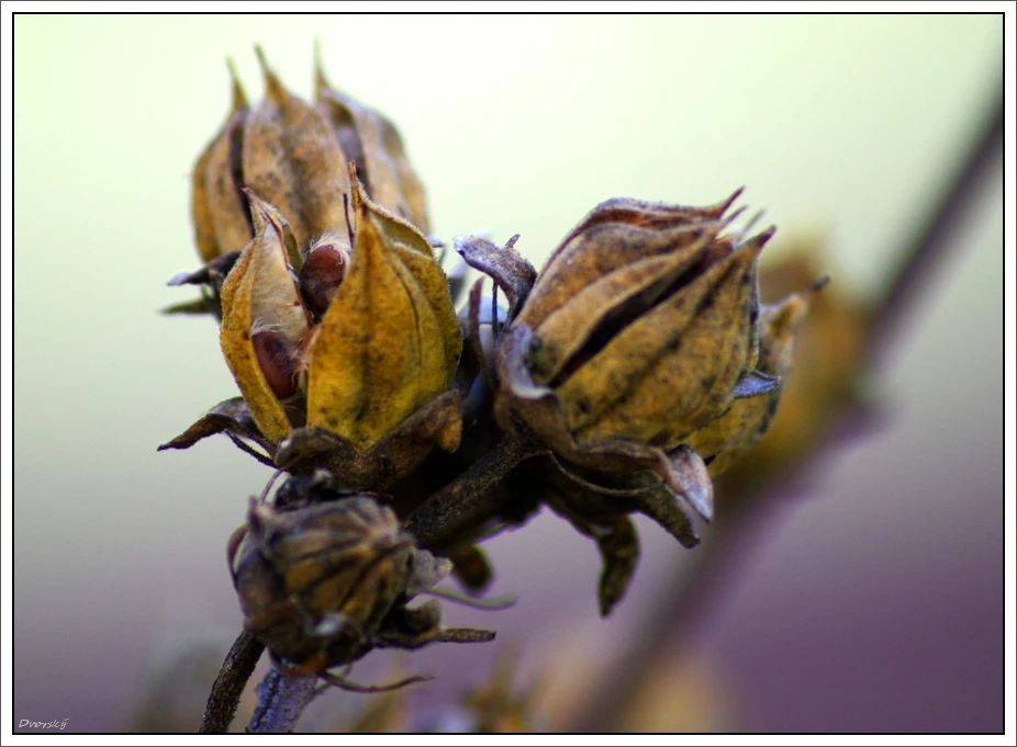 Fotku nahral/-a Dušan
