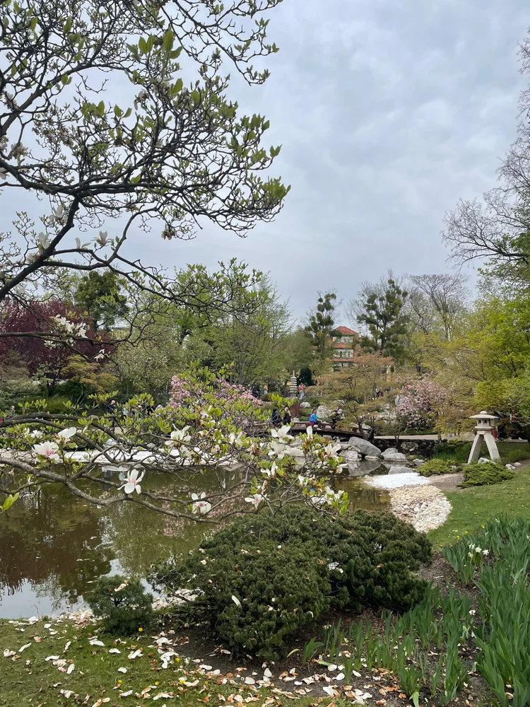 Image uploaded by Ihor