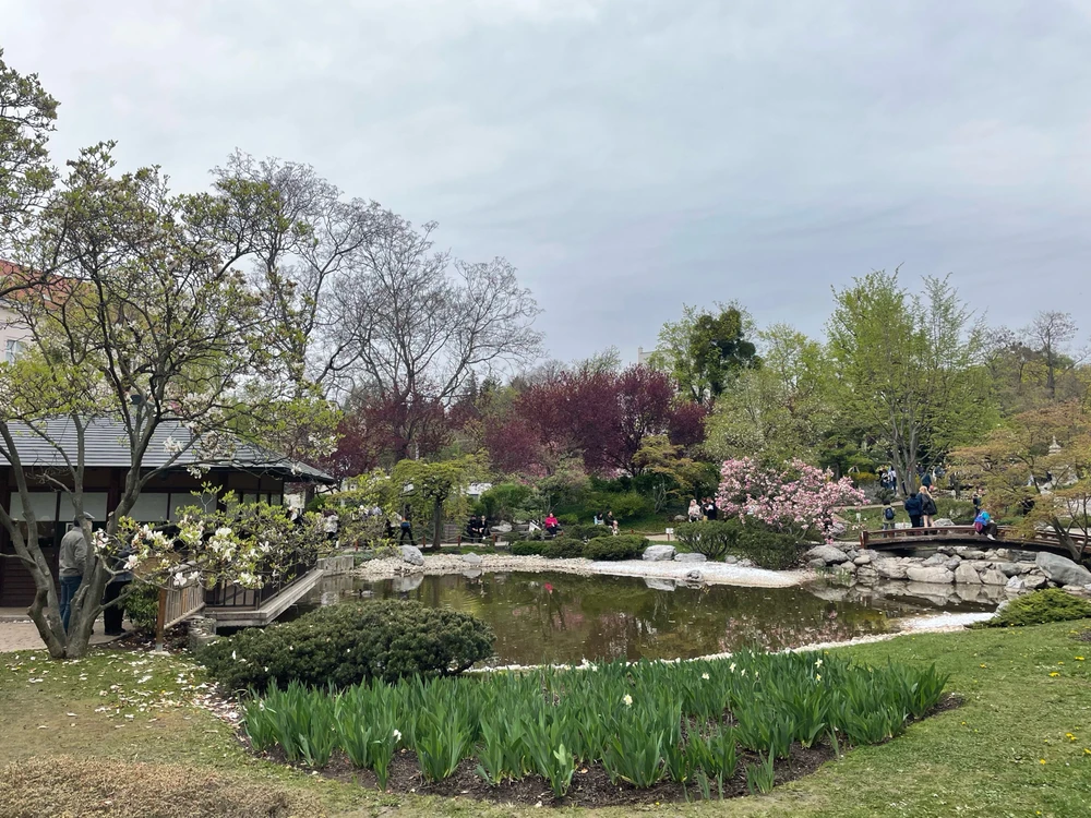 Image uploaded by Ihor