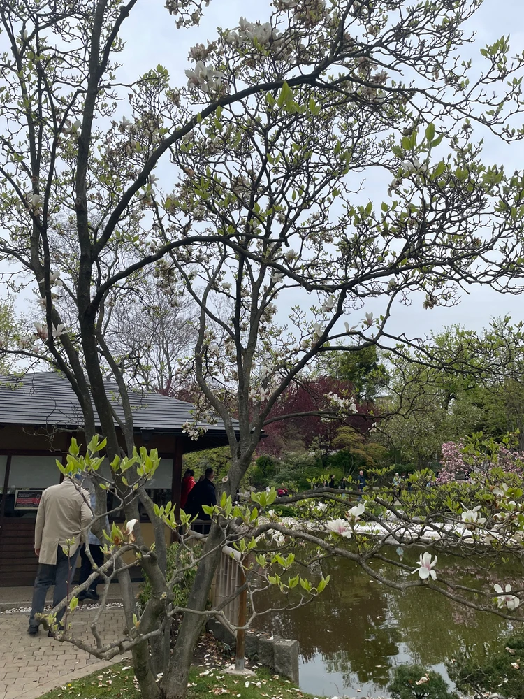 Image uploaded by Ihor