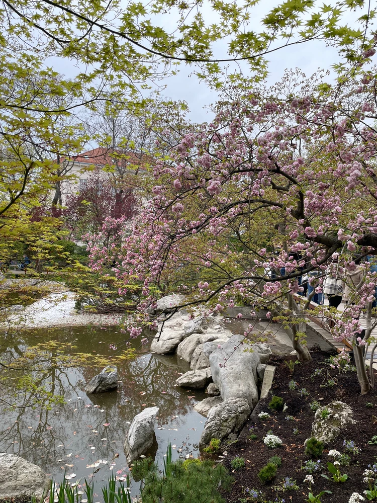 Image uploaded by Ihor