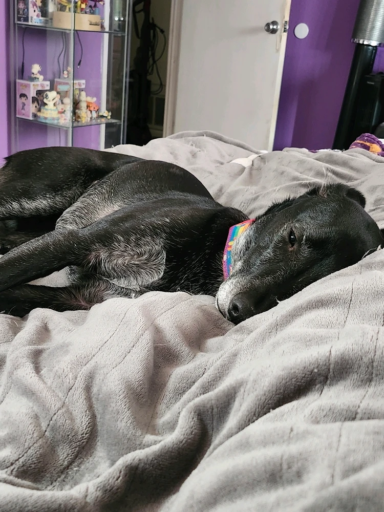 GIF uploaded by ⋆｡𖦹°⭒˚｡⋆Hope⋆｡𖦹°⭒˚｡⋆