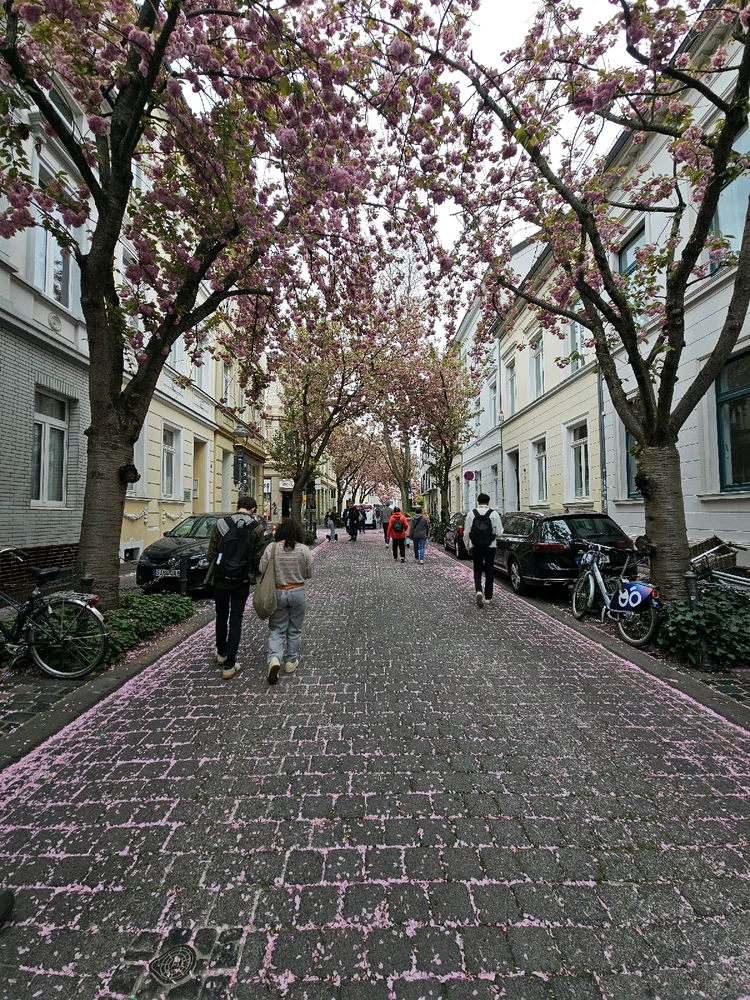 Image uploaded by Clare