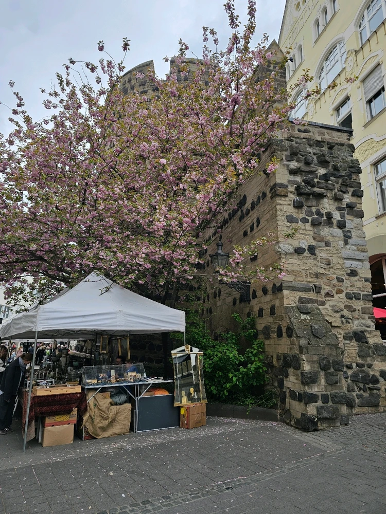 Image uploaded by Clare