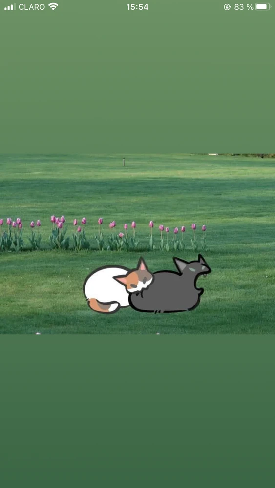 GIF ajouté par Juan Pablo