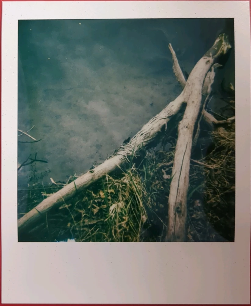 Image uploaded by Adam