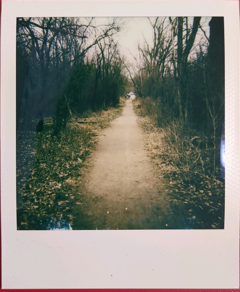 Image uploaded by Adam