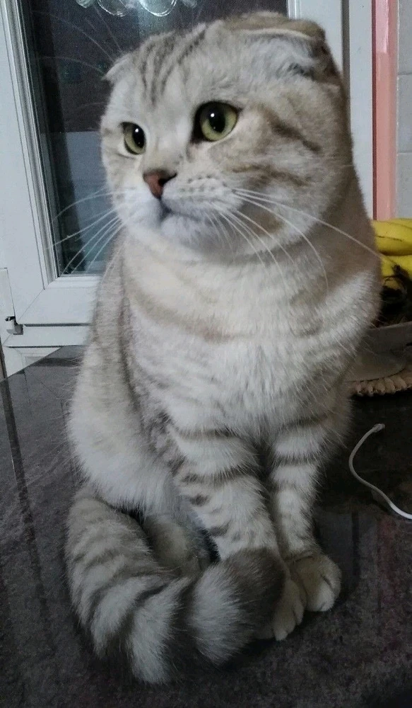 Ufuk tarafından yüklenen GIF