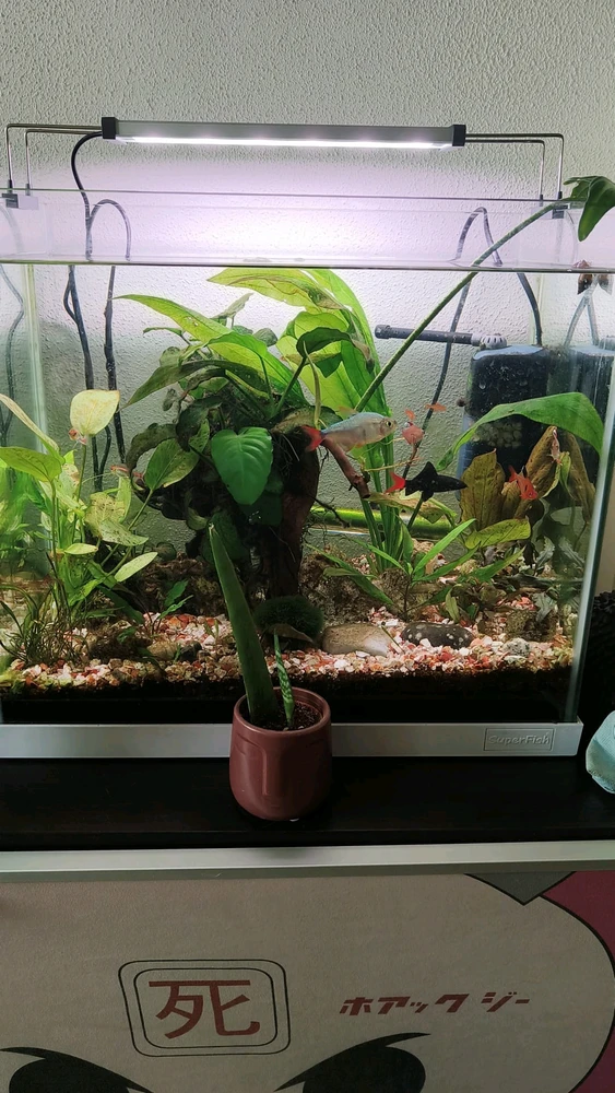 GIF geüpload door Erik