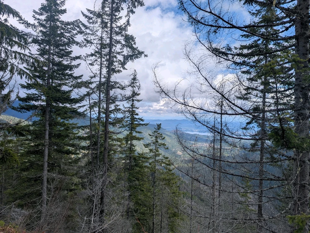 Gambar diunggah dening 🇺🇲Daniel Fisk Bennett