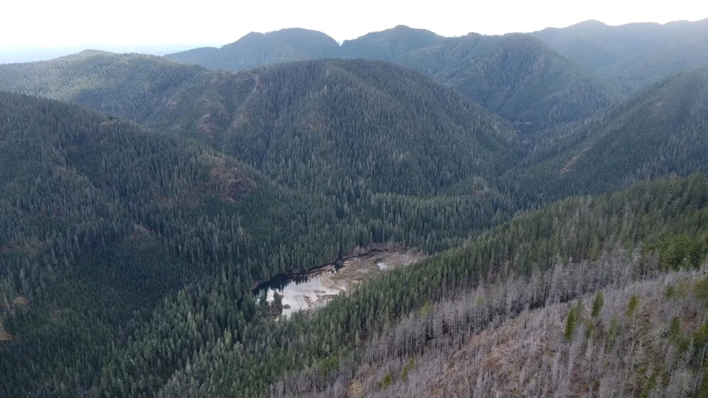 Gambar diunggah dening 🇺🇲Daniel Fisk Bennett