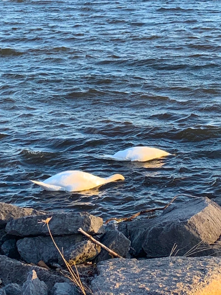 Today was a good day🌞🌻✨