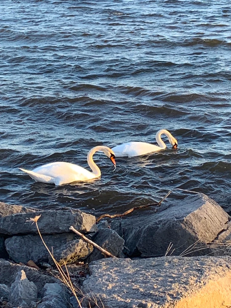 Today was a good day🌞🌻✨