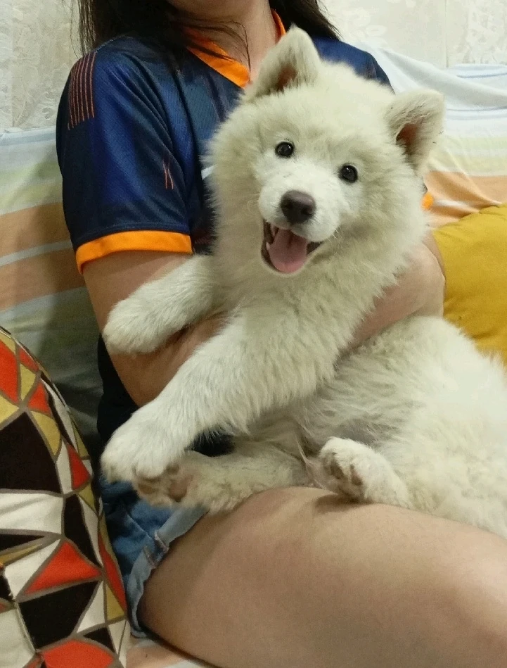 GIF uploaded by Danna