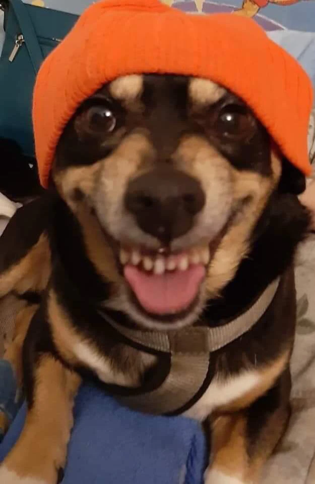 GIF dodany przez Buszku