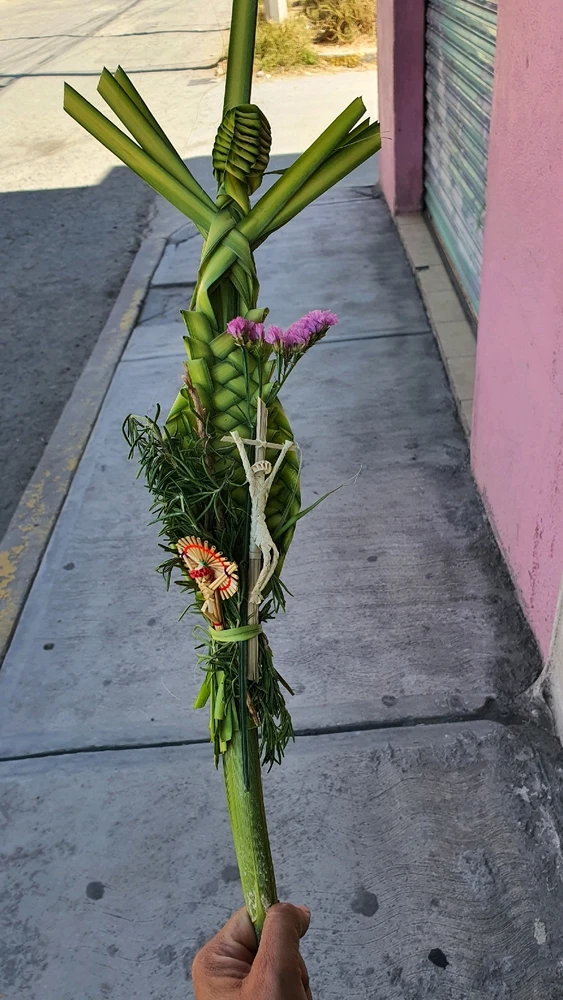 Imagen subida por Fabiola