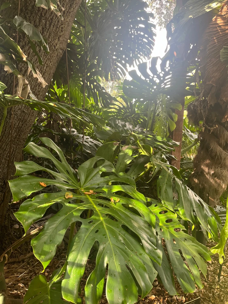 GIF uploaded by Nazia