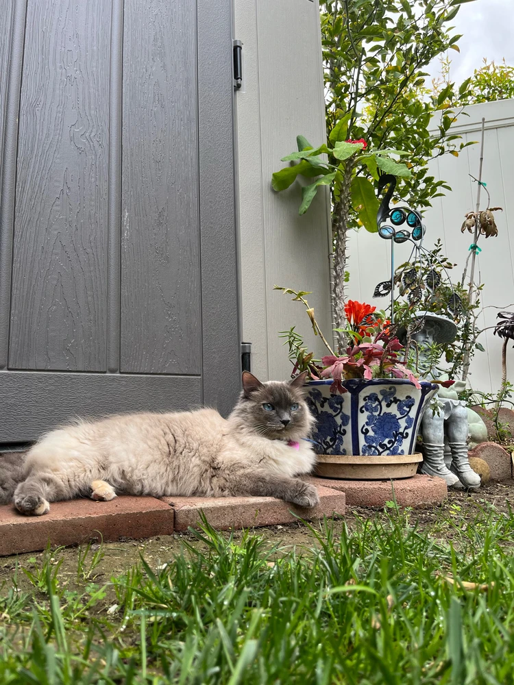 GIF diunggah dening Nazia