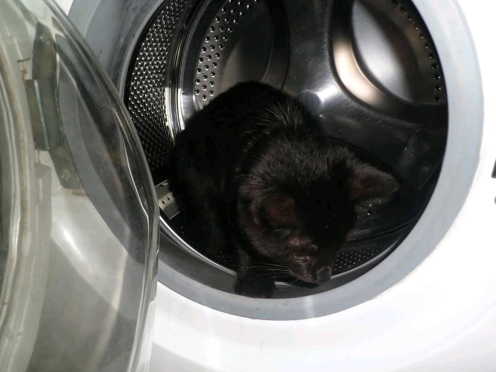 GIF ajouté par Stephe