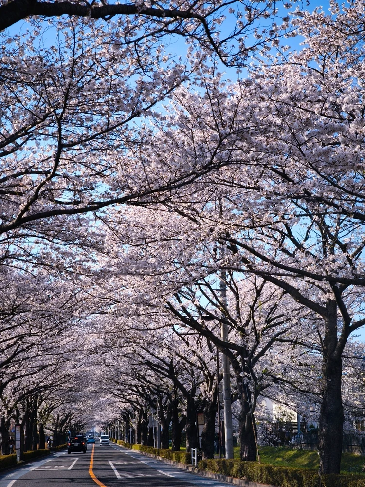 Keitaがアップロードした画像