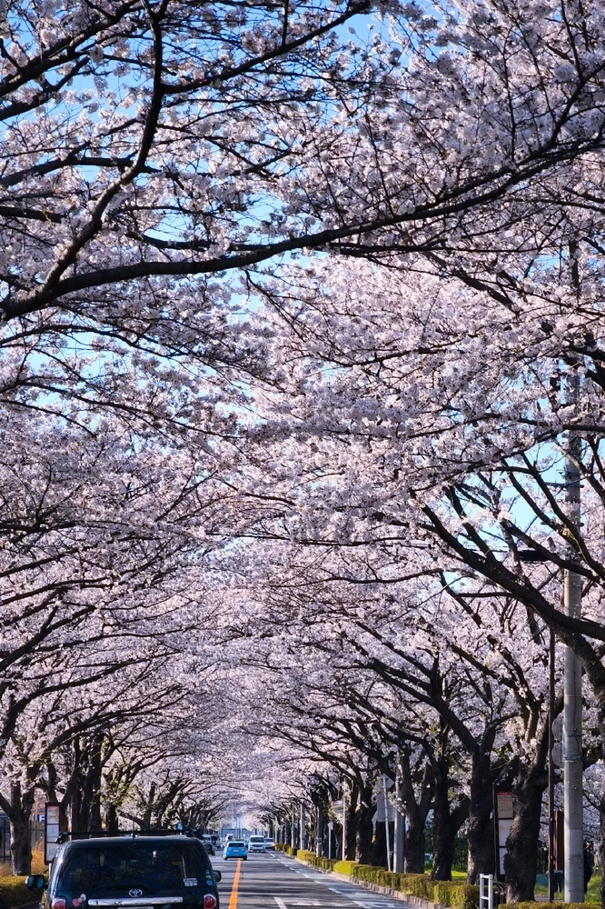 Keitaがアップロードした画像