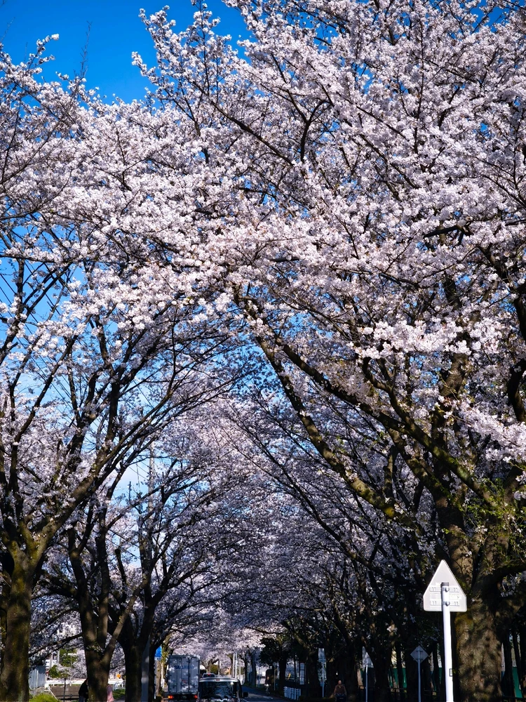 Keitaがアップロードした画像