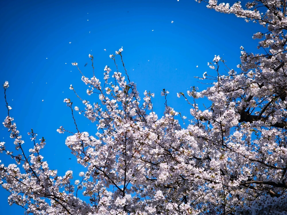 Keitaがアップロードした画像