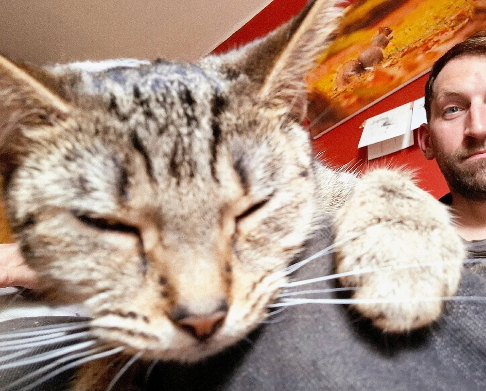 GIF uploaded by • Bill •