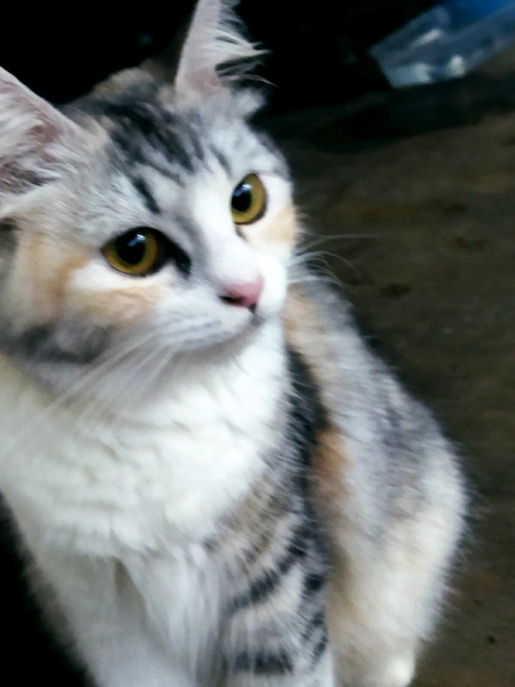 GIF diunggah oleh Na