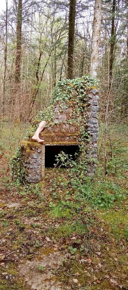 Image ajoutée par Patrick