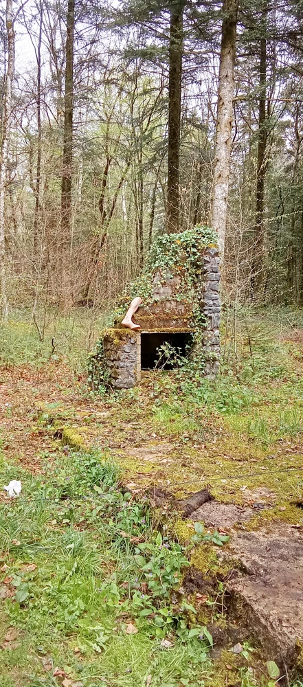 Image ajoutée par Patrick