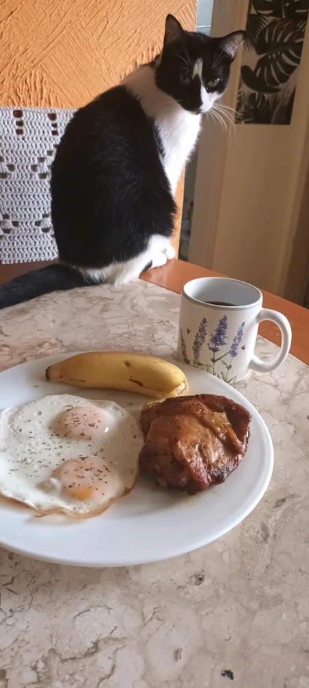 Imagem enviada por Matheus