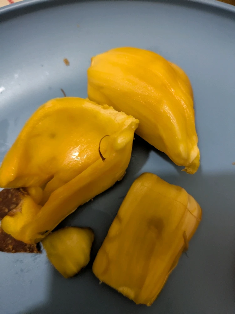 Gambar diunggah dening Kea