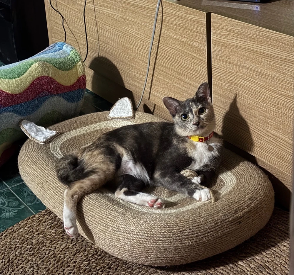 GIF uploaded by Pat♡